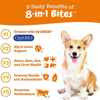 Pet Vitamin Health Product: Multi-Functional Nutritional Supplement for Dogs eprolo