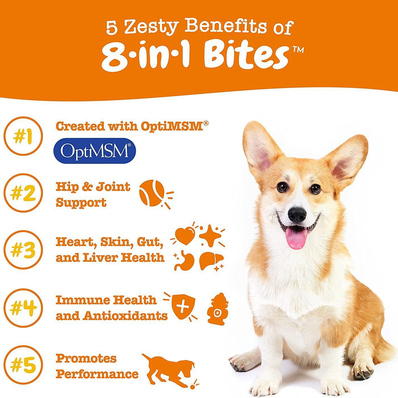 Pet Vitamin Health Product: Multi-Functional Nutritional Supplement for Dogs eprolo