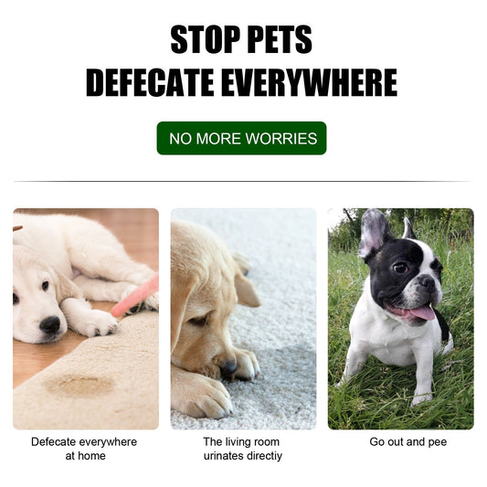 Pet Location Training Agent for Toilet Induction and Waste Positioning eprolo