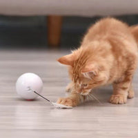 Hot selling pet cleaning tool  pet chewing toy dog toothbrush stick  rubber clean Teeth dogs toothbrush eprolo
