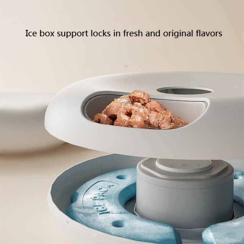 Paiwang 6-Meal Automatic Pet Feeding Device Cross border Spot Wholesale Wet Cat Food Cat Dog Timed Feeding Device