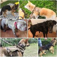 Military Tactical Dog Harness German Shepherd Pet Dog Vest With Handle Nylon Bungee Dog Leash Harness For Small Large Dogs Puppy eprolo