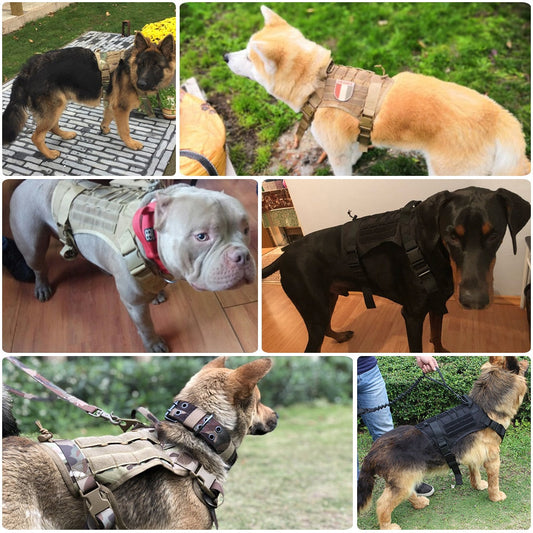 Military Tactical Dog Harness German Shepherd Pet Dog Vest With Handle Nylon Bungee Dog Leash Harness For Small Large Dogs Puppy eprolo