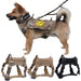 Military Tactical Dog Harness German Shepherd Pet Dog Vest With Handle Nylon Bungee Dog Leash Harness For Small Large Dogs Puppy eprolo