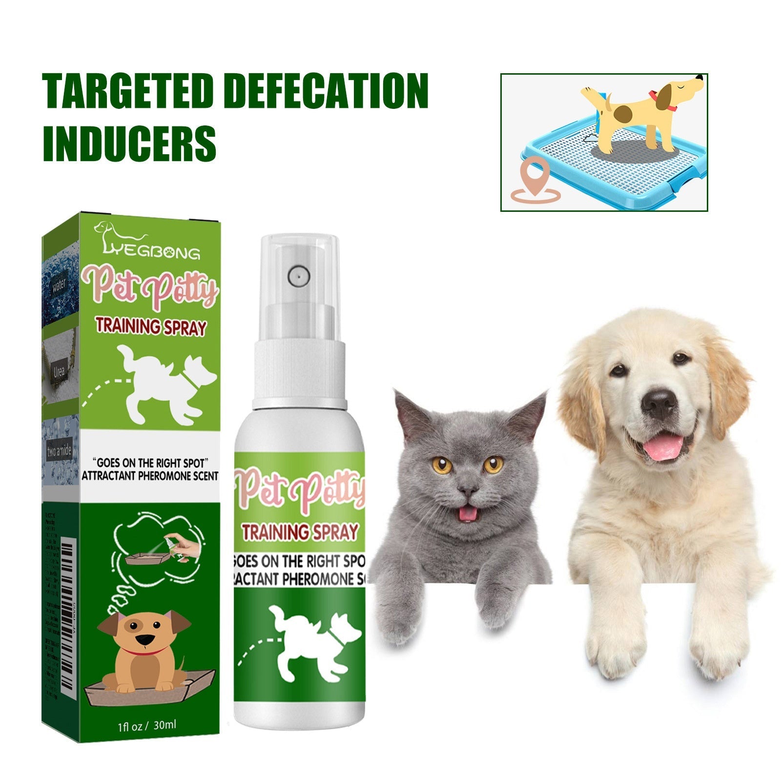 Pet Location Training Agent for Toilet Induction and Waste Positioning eprolo