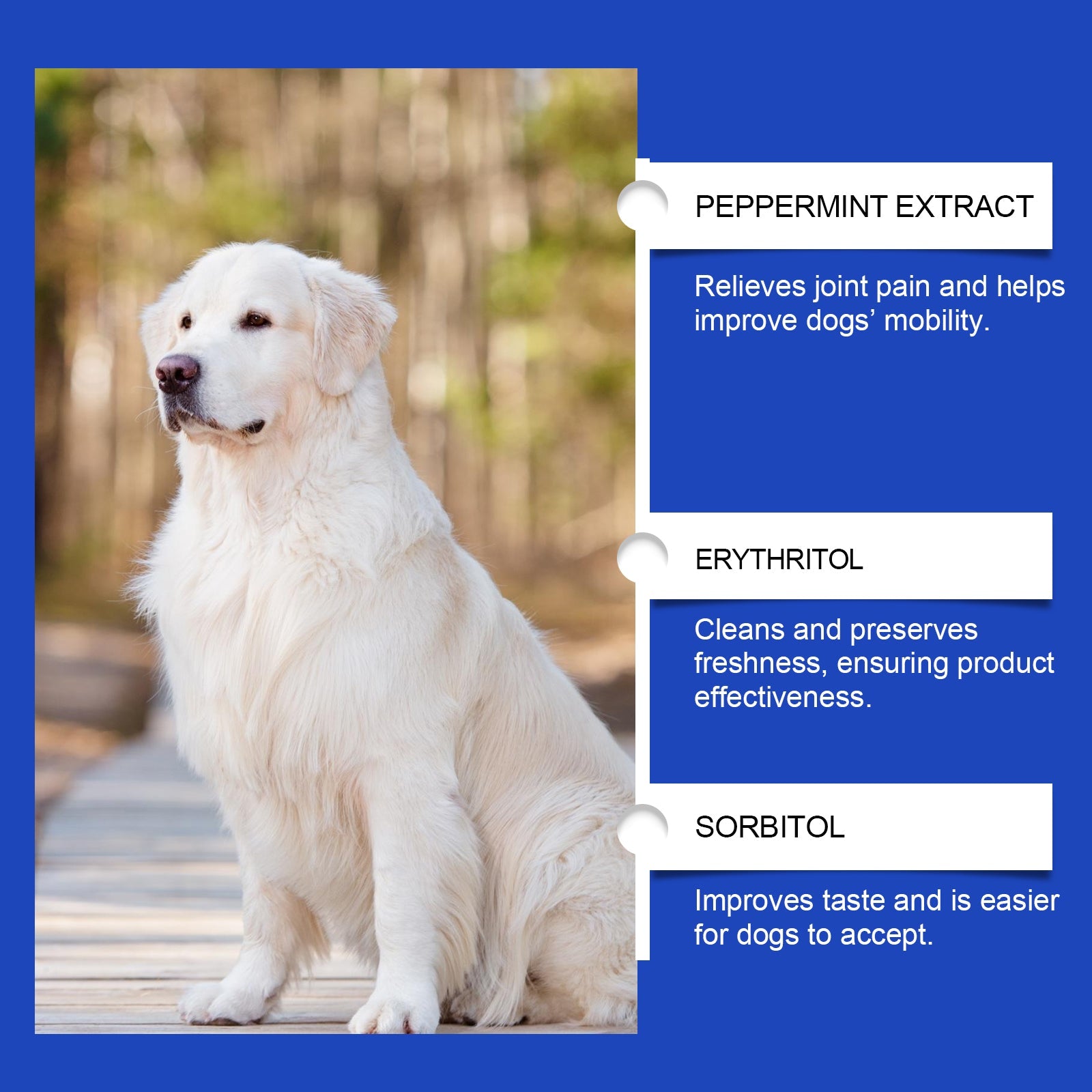 Pet Dog Joint Supplement To Enhance Nutrition Care Joint Health Pet Joint Care Agent eprolo
