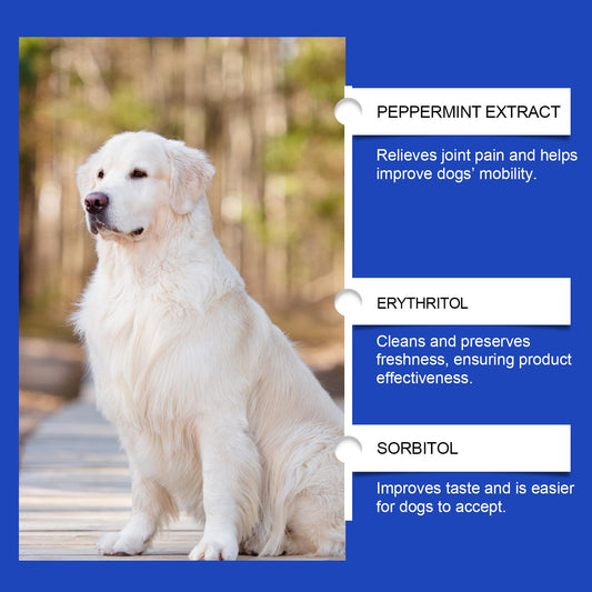Pet Dog Joint Supplement To Enhance Nutrition Care Joint Health Pet Joint Care Agent eprolo
