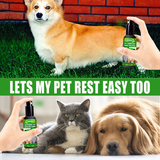 Peppermint Pet Repellent Spray, Dog Mite Spray Pet Mite Fungus Spray For Cats And Dogs eprolo