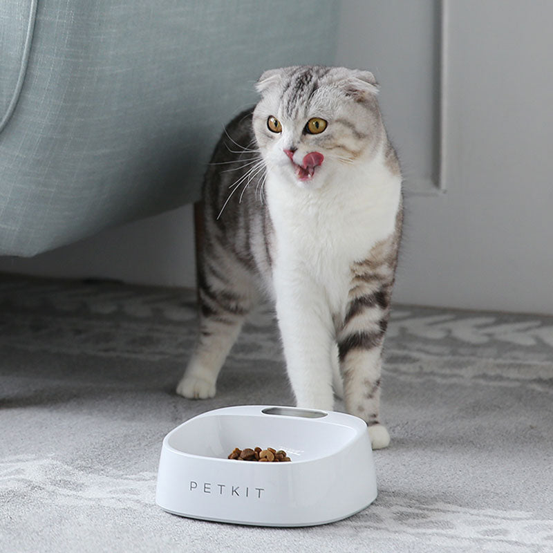 HOOPET New Dog Smart Bowl Eating Drinking Convenient Safe Anti-microbial 5 Style Pet Product eprolo