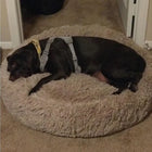 Large Plush Donut Pet Bed for Dogs & Cats – 100CM Anti-Anxiety Round Calming Bed