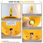 Mini Automatic Dog Ball Launcher with 3 Balls – Rechargeable Indoor Fetch Toy for Small Dogs