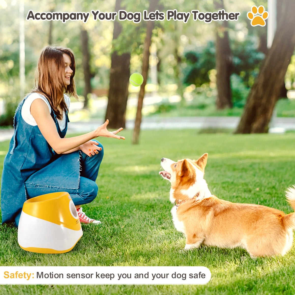 Mini Automatic Dog Ball Launcher with 3 Balls – Rechargeable Indoor Fetch Toy for Small Dogs