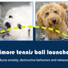 Automatic Dog Ball Launcher with 3 Distance Settings - Interactive Fetch Toy with 58mm ETPU Tennis Balls