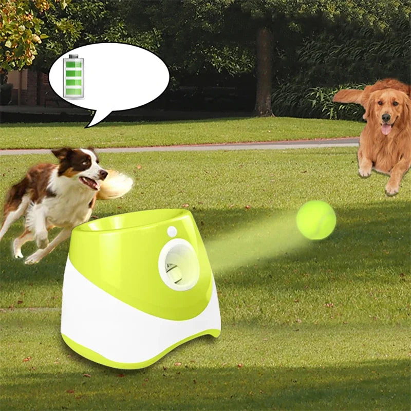 Mini Automatic Dog Ball Launcher with 3 Balls – Rechargeable Indoor Fetch Toy for Small Dogs